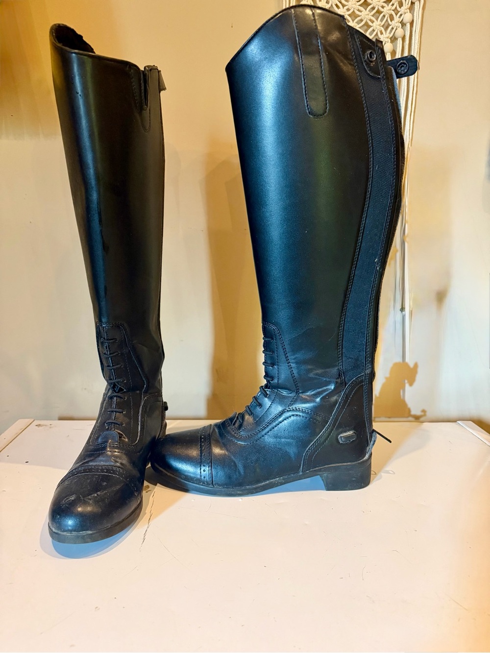 Saxon Tall English Boot